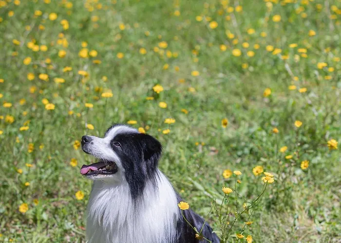Vakantieboerderij Casanova *